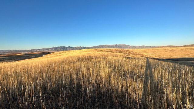 255 W MAIL ROUTE RD, Preston, ID 83263