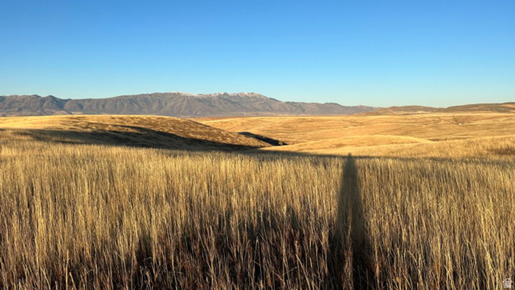 255 W MAIL ROUTE RD, Preston, ID 83263