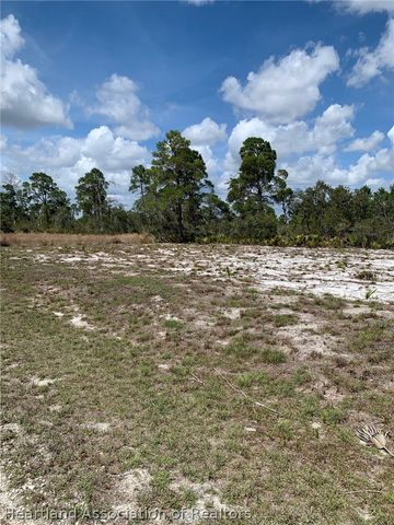 1249 Popinjay Avenue, Lake Placid, FL 33852