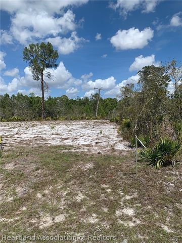 1249 Popinjay Avenue, Lake Placid, FL 33852