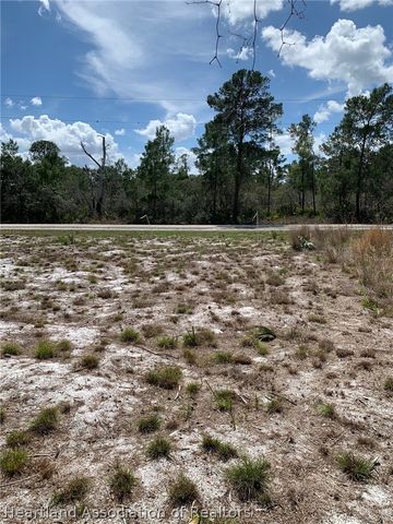 1249 Popinjay Avenue, Lake Placid, FL 33852