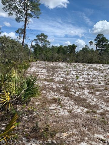 1249 Popinjay Avenue, Lake Placid, FL 33852