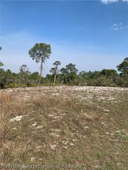 1249 Popinjay Avenue, Lake Placid, FL 33852