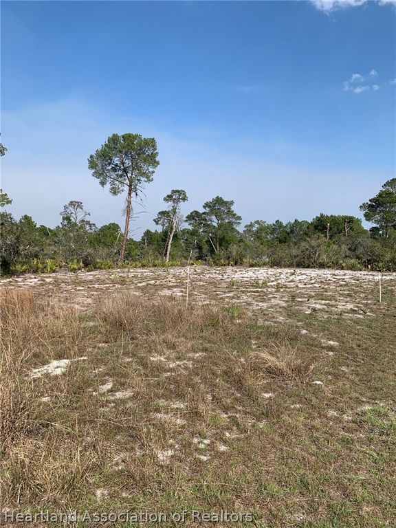 1249 Popinjay Avenue, Lake Placid, FL 33852