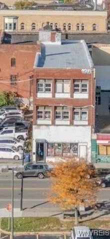 294 West Ferry Street, Buffalo, NY 14213