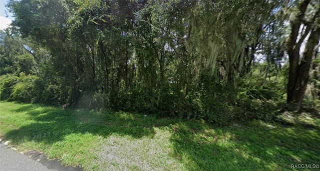 5556 N Florida Avenue, Hernando, FL 34442