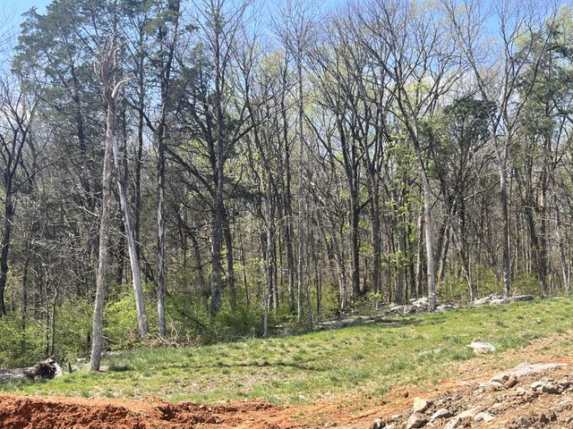 638 Spring Hill Drive lot 9, E, Smyrna, TN 37167