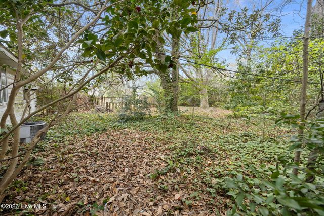 1709 S Elm Street, Greenville, NC 27858