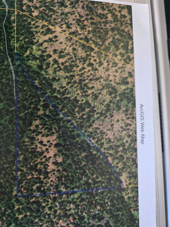 TBD Upper Sawmill Creek Lane, Cascade, MT 59421 photo 4