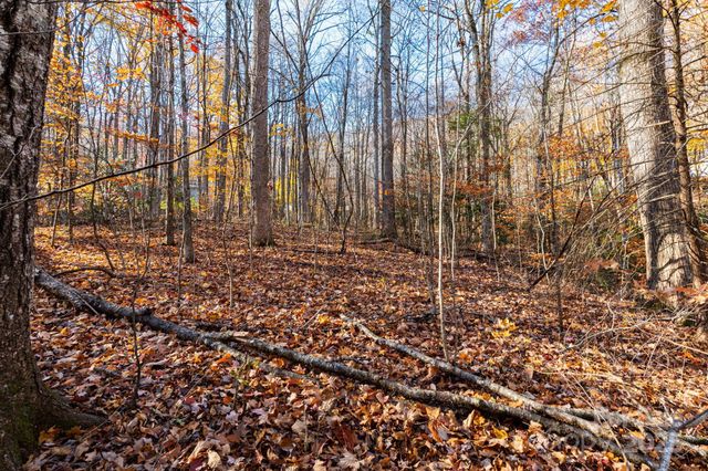 Lot 62 Twinbrook Lane, Maggie Valley, NC 28751