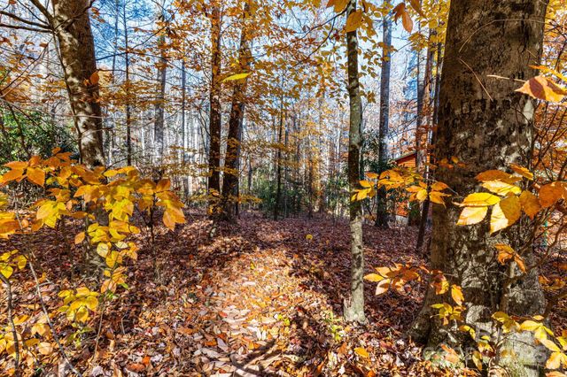 Lot 62 Twinbrook Lane, Maggie Valley, NC 28751