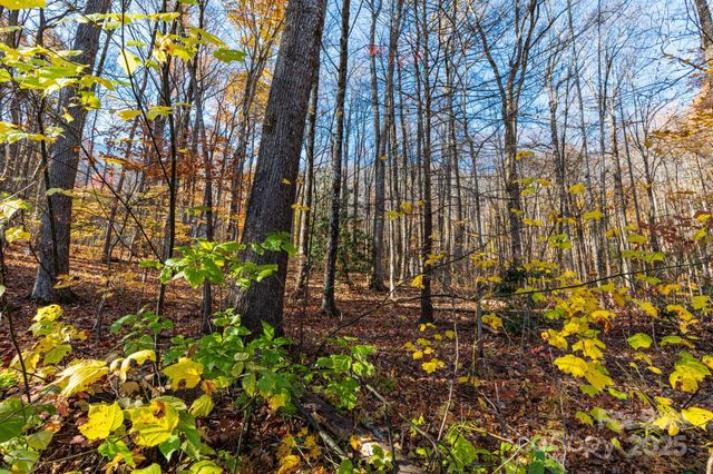 Lot 62 Twinbrook Lane, Maggie Valley, NC 28751