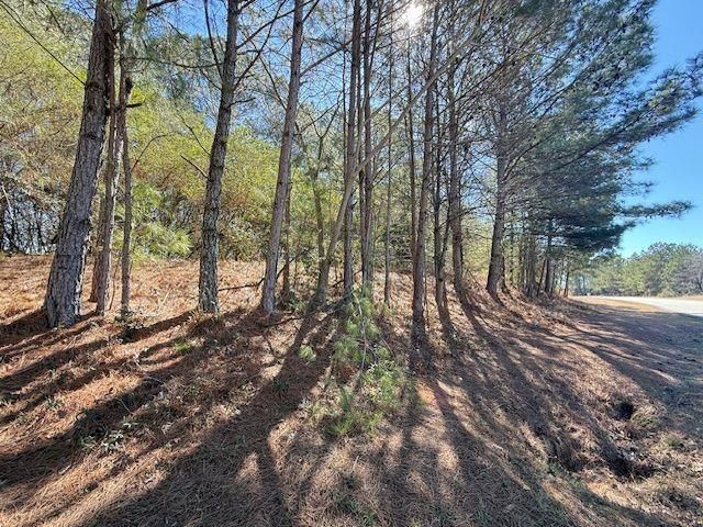 0 McDonough Parkway, Mcdonough, GA 30253