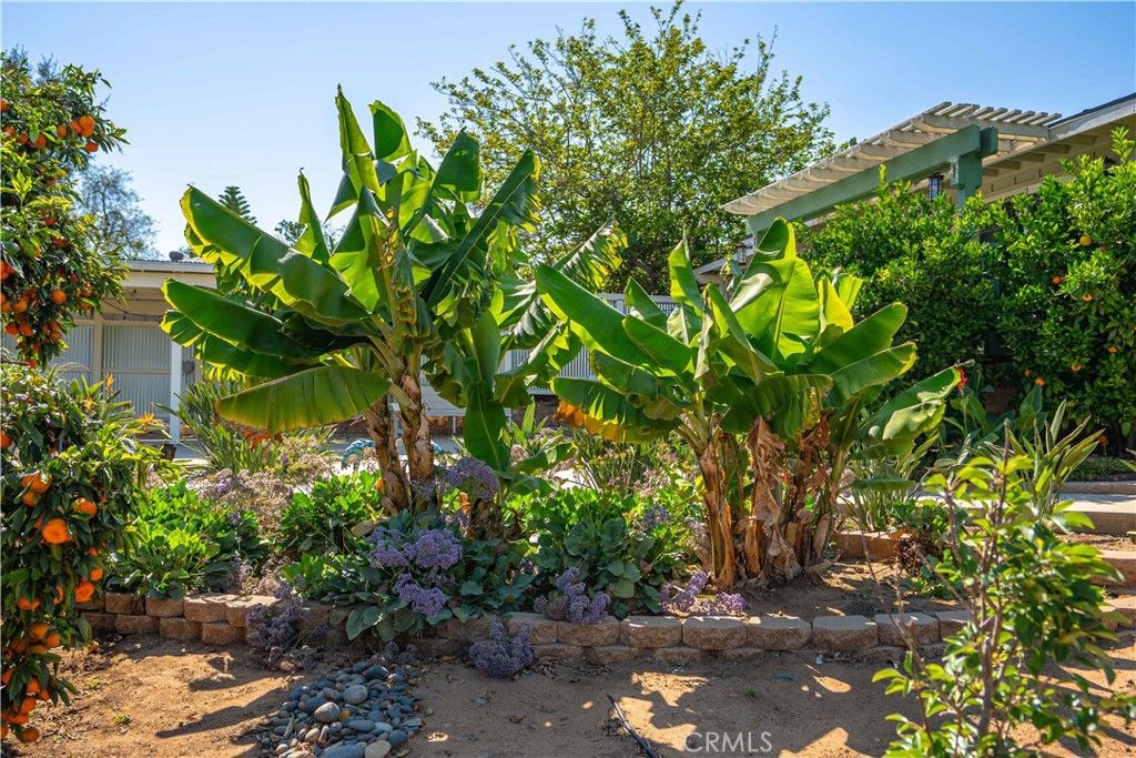 Image 52 of property listing at 1611 Hillcrest, Fallbrook, CA 92028