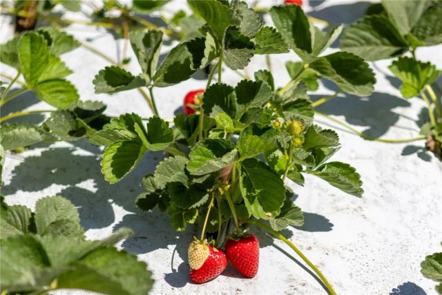 0 Indiana, Nipomo, CA 93444