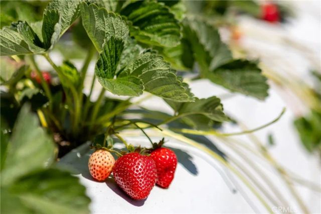 0 Indiana, Nipomo, CA 93444