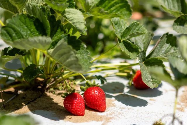 0 Indiana, Nipomo, CA 93444