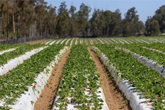 0 Indiana, Nipomo, CA 93444