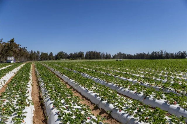 0 Indiana, Nipomo, CA 93444