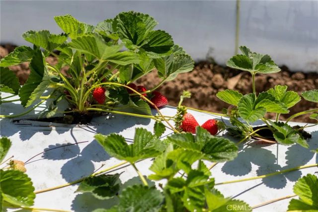 0 Indiana, Nipomo, CA 93444