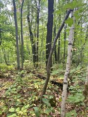 xxx Pebble Pass, Cushing Twp, MN 56443