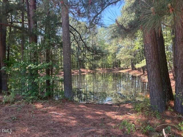 919 Homestead Park Drive, Apex, NC 27502