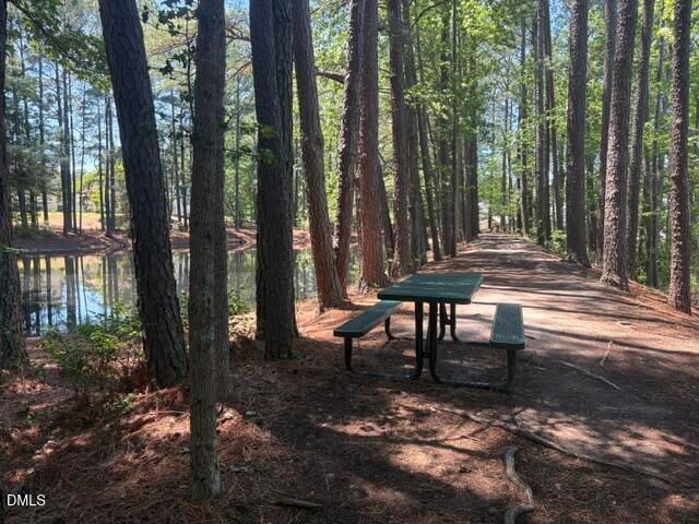919 Homestead Park Drive, Apex, NC 27502