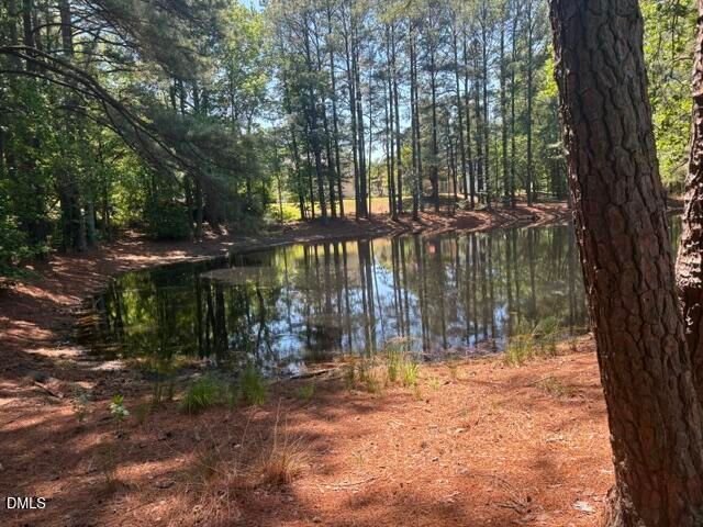 919 Homestead Park Drive, Apex, NC 27502
