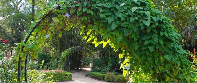 3442 SW Esperanto Street, Port St. Lucie, Port St Lucie, FL 34953