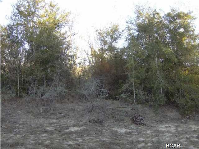 00 CHAMBERLAIN Drive, Chipley, FL 32428