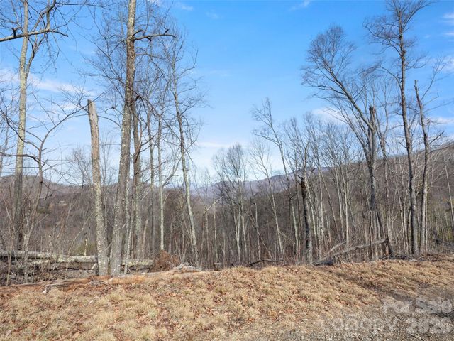 TBD S Ridge Runner Road, Burnsville, NC 28714