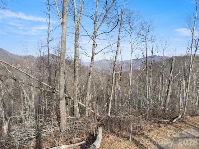 TBD S Ridge Runner Road, Burnsville, NC 28714
