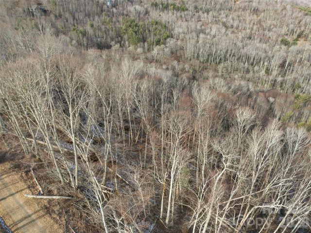 TBD S Ridge Runner Road, Burnsville, NC 28714