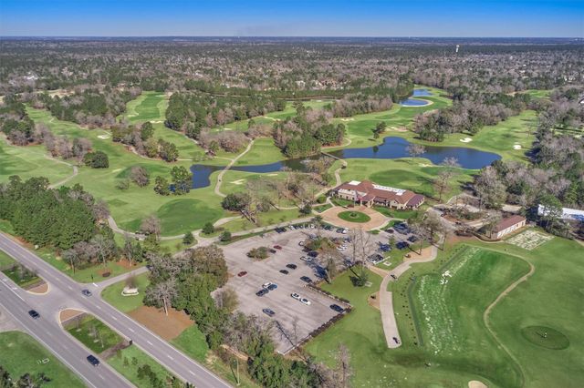 117 Hidden Peak Drive, Montgomery, TX 77316