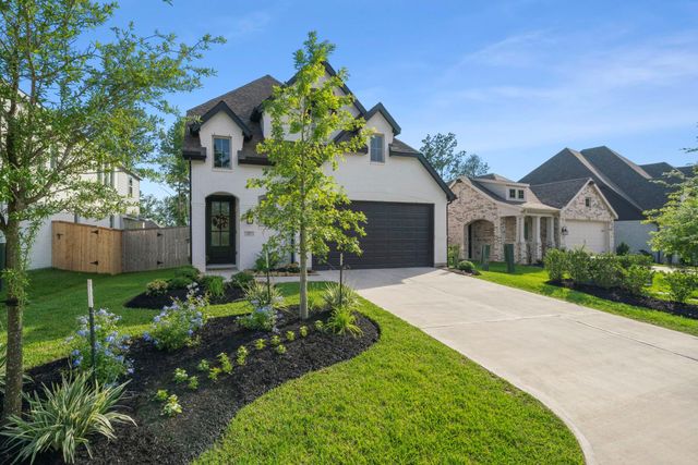 117 Hidden Peak Drive, Montgomery, TX 77316