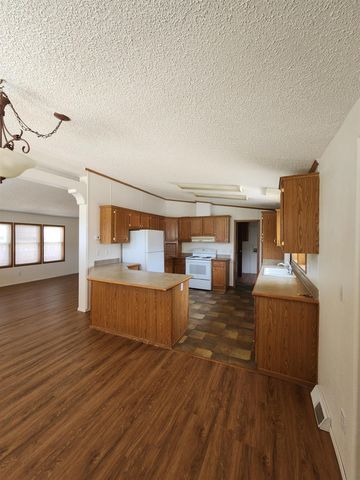 262 E Tamarack Circle, Battlement Mesa, CO 81635