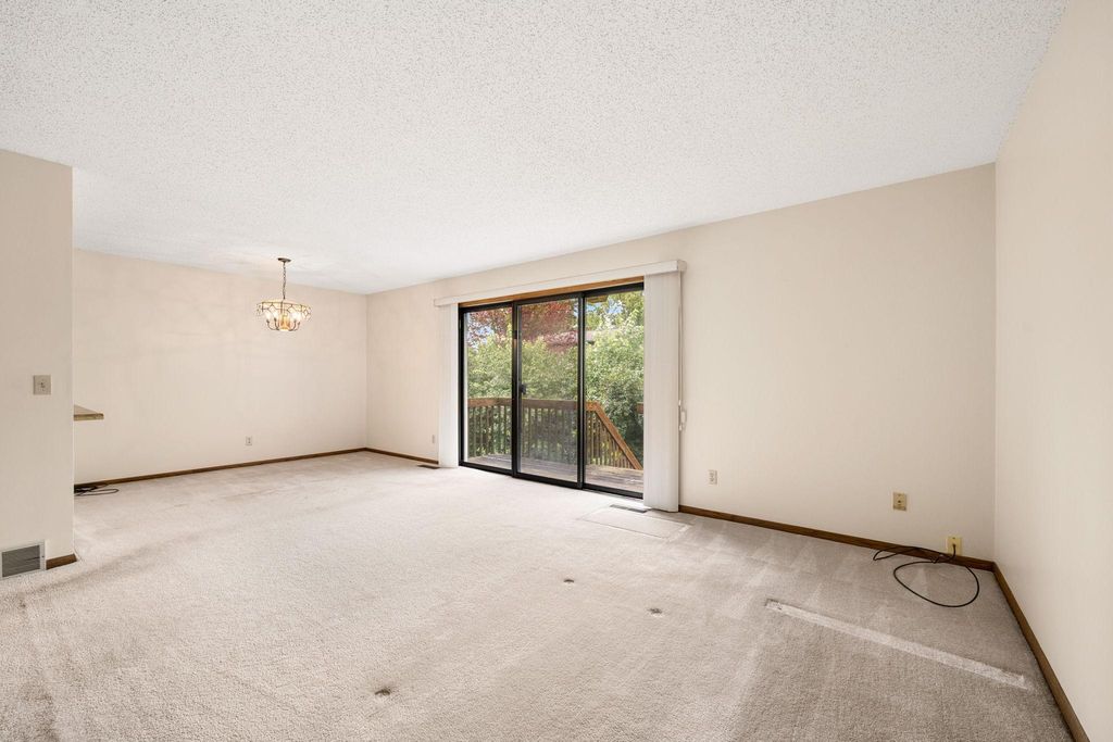 336 W 5th Street, Waconia, MN 55387 — photo 4