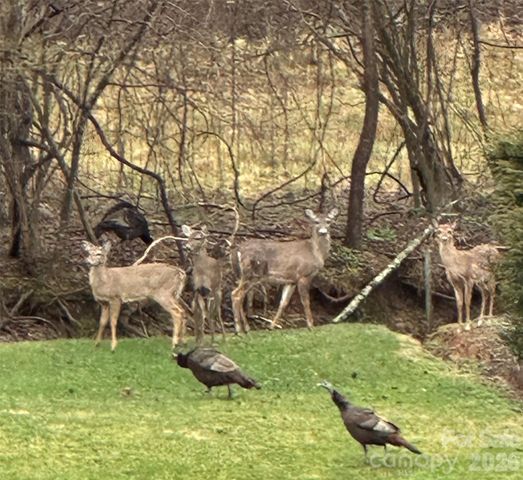 303 Constitution Drive, Morganton, NC 28655