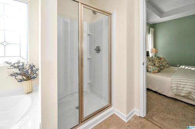 The Coleman SPRINGDALE LANE, Columbiana, AL 35051