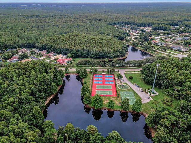 5441 WORTHINGTON LOOP, Palm Harbor, FL 34685