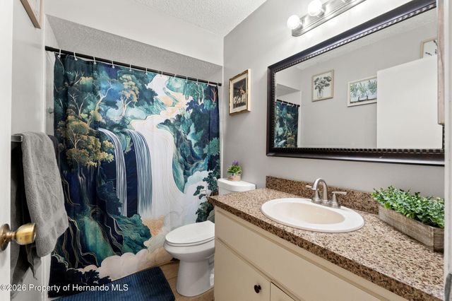 11175 Holbrook Street, Spring Hill, FL 34609