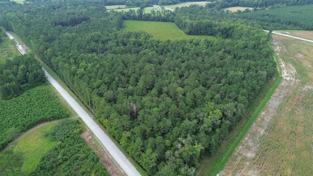 LOT 5 Fries Bay Rd., Loris, SC 29569 — photo 2