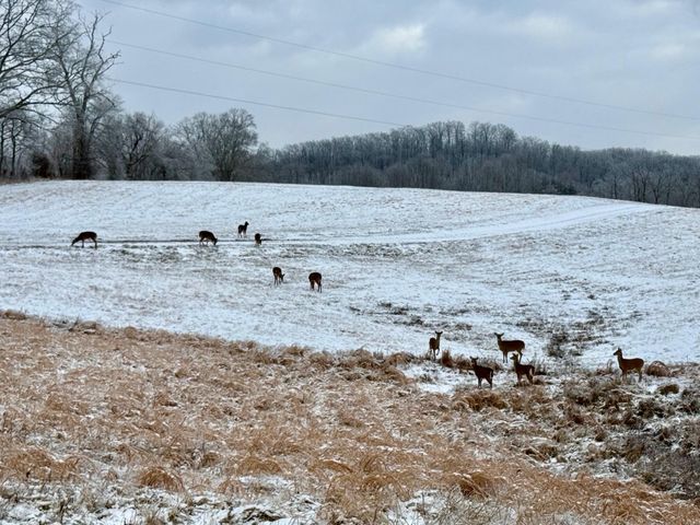 492 Short Ridge Road, Beattyville, KY 41311