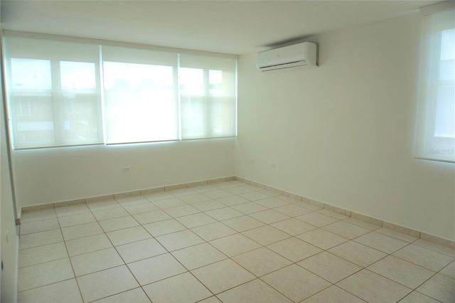 19-P DELFIN, Dorado, PR 00646