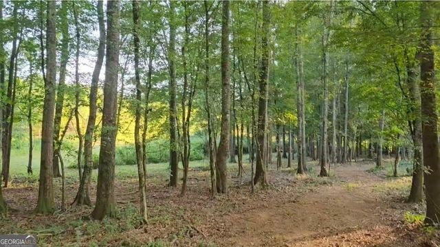 240 Victory Dashboard Road, Bowdon, GA 30108