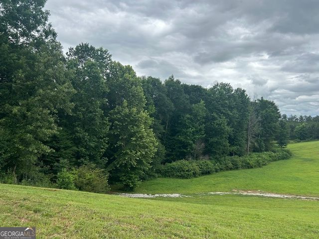 240 Victory Dashboard Road, Bowdon, GA 30108