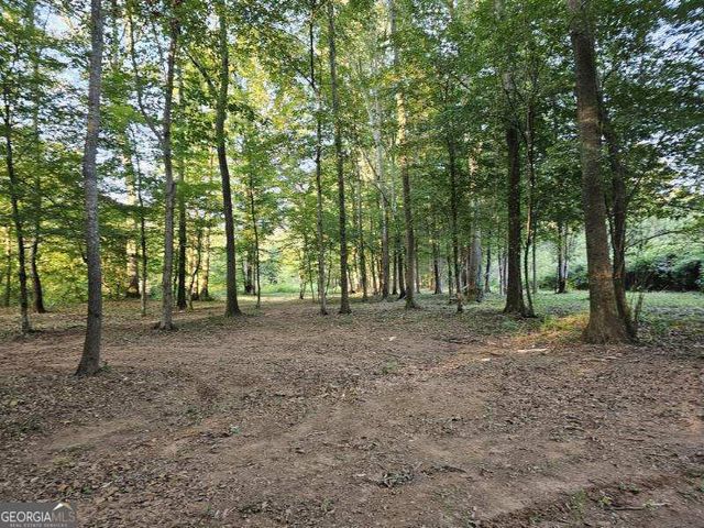 240 Victory Dashboard Road, Bowdon, GA 30108