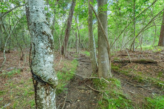 5735 County Road 2252, Cleveland, TX 77327
