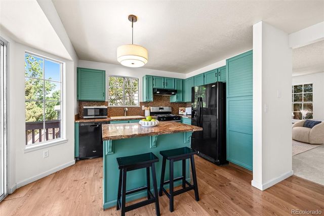 4807 N Bearlily Way, Castle Rock, CO 80109