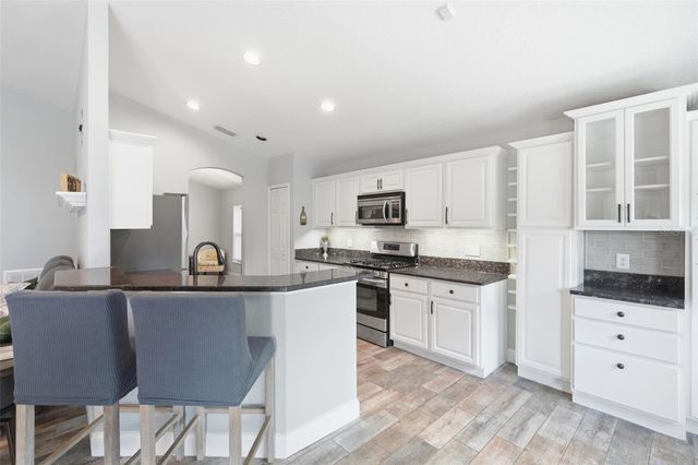 251 PINE SPRINGS DRIVE, Debary, FL 32713